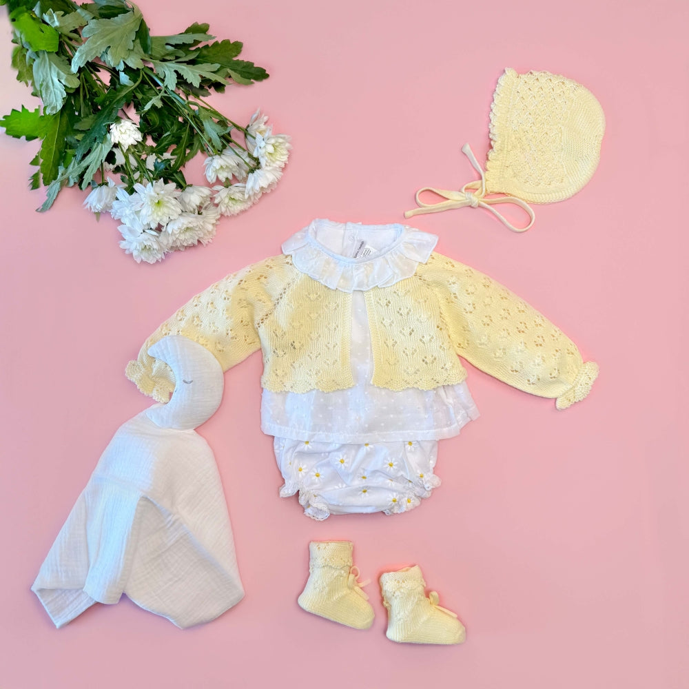 Baby-Spieler Gänseblümchen