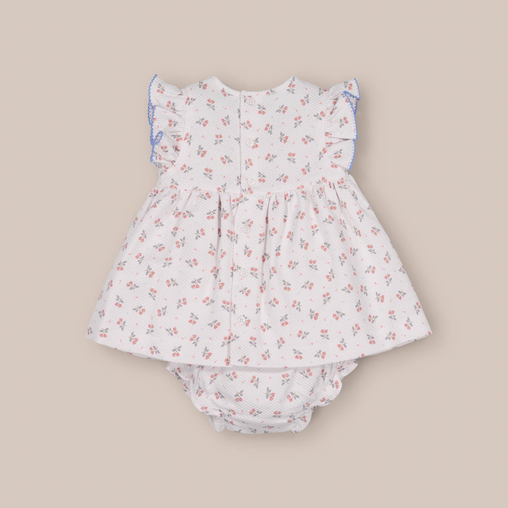 Jesusín Piqué Tulipa