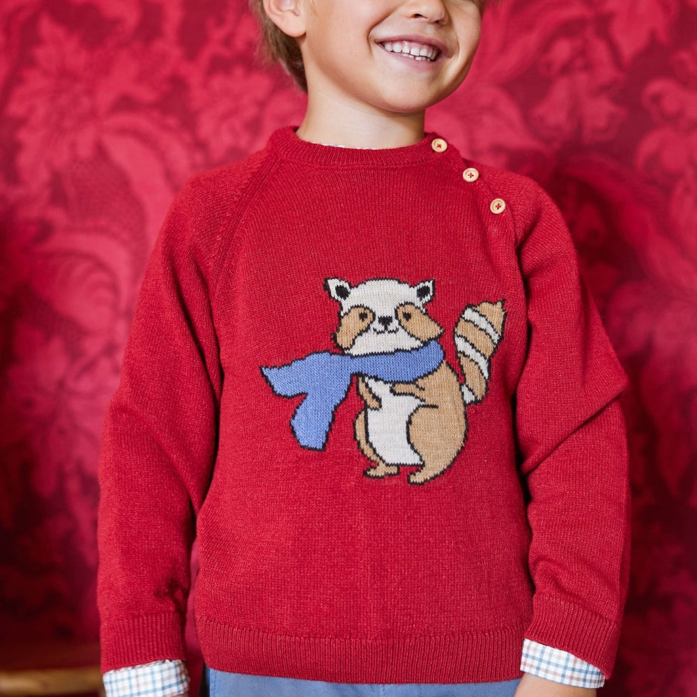 Pull garçon en laine de raton laveur