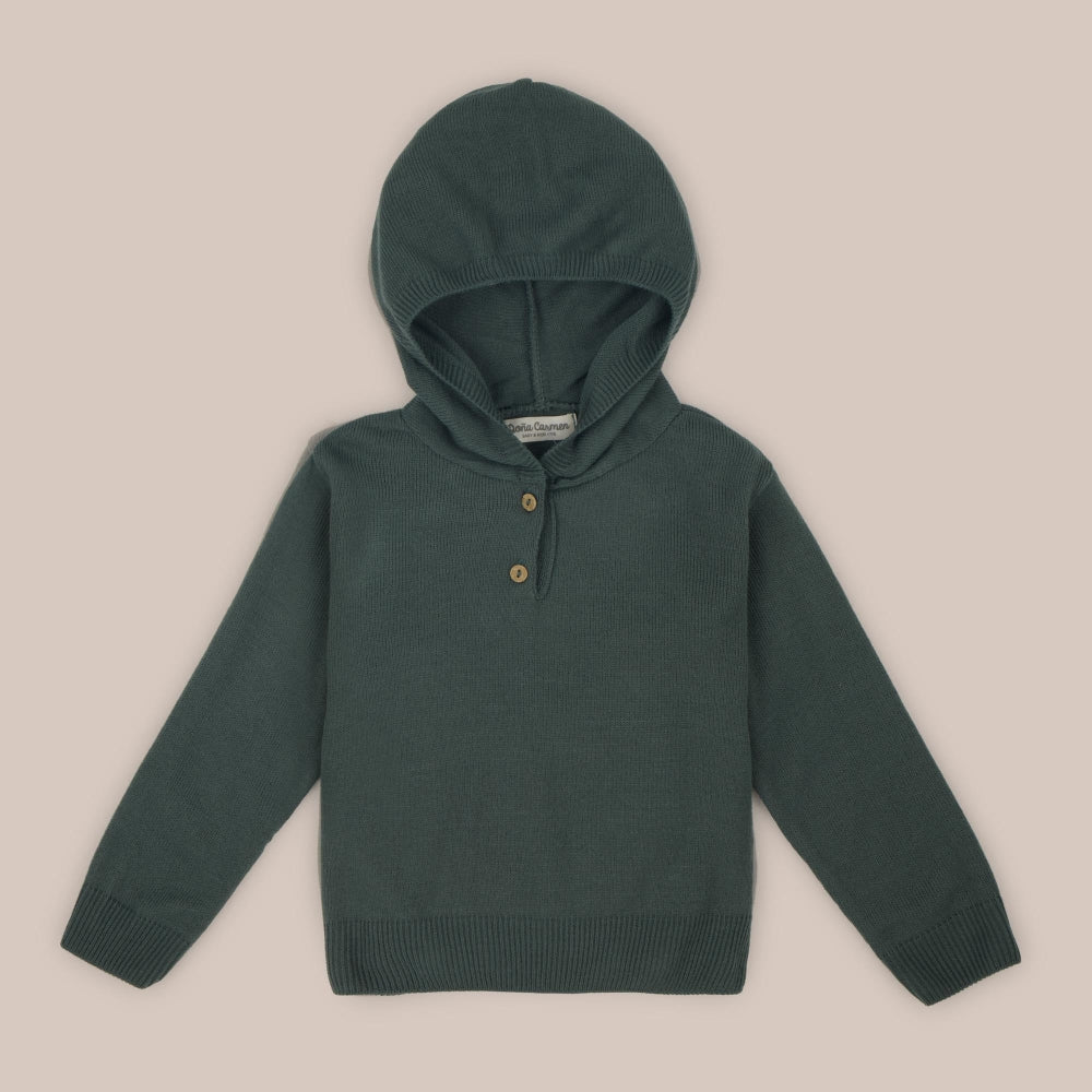 Pull tricoté lichen