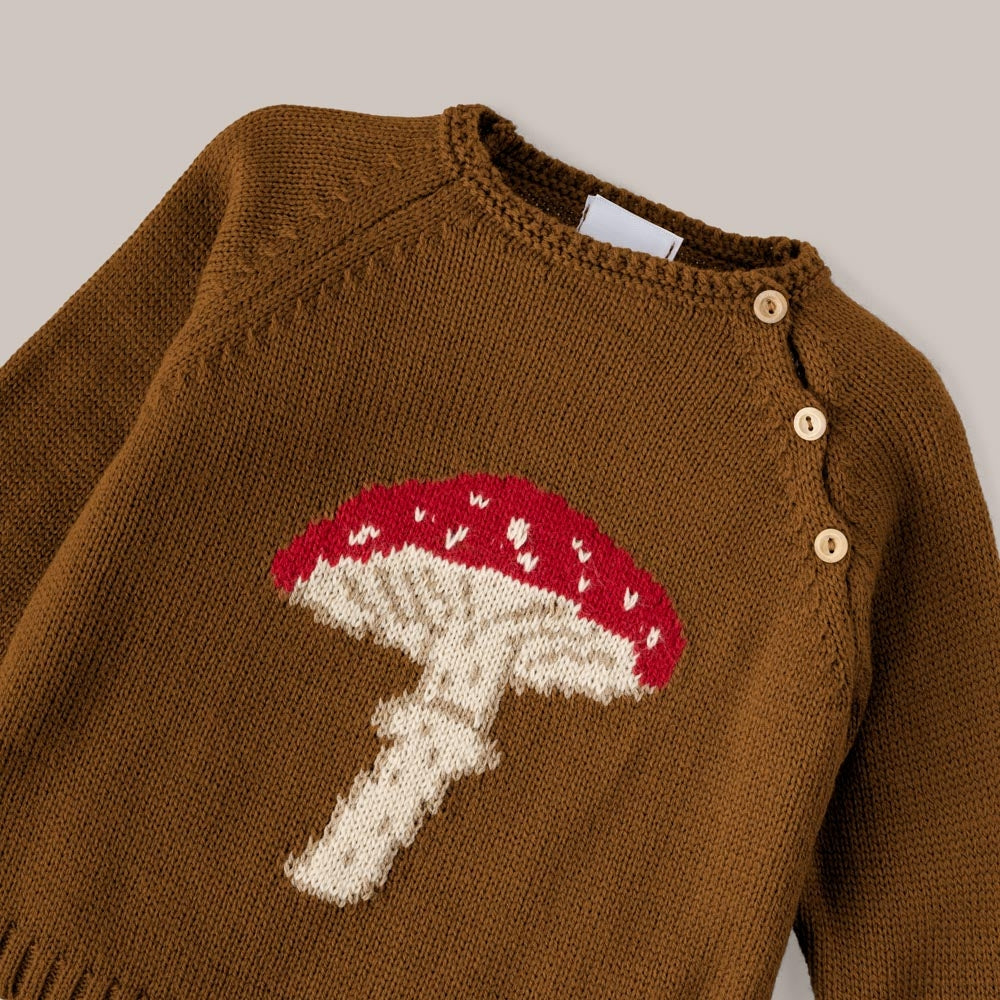 Sweater mushroom