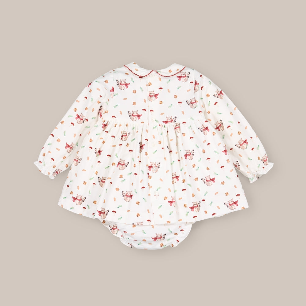 Baby dress set Smock raccoon