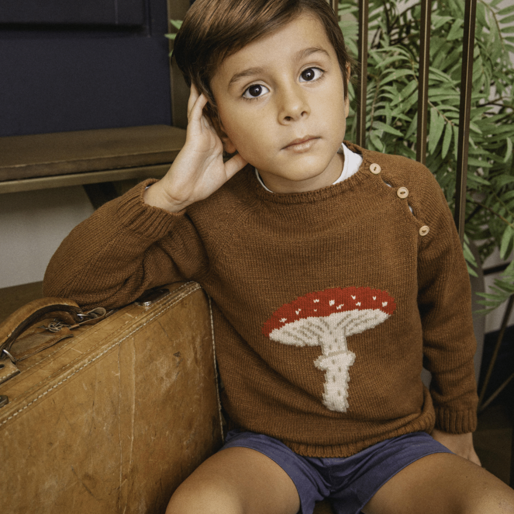 Sweater mushroom