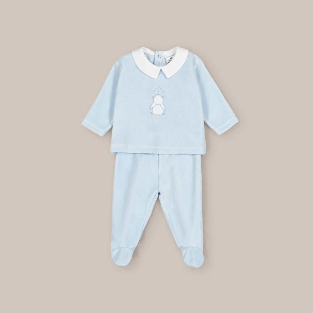 Conjunto bebé Sonho de veludo