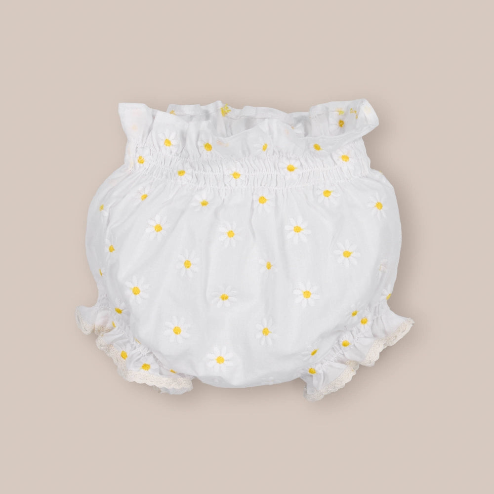 Baby-Spieler Gänseblümchen