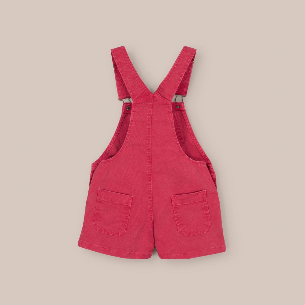 Peto Corto Summer