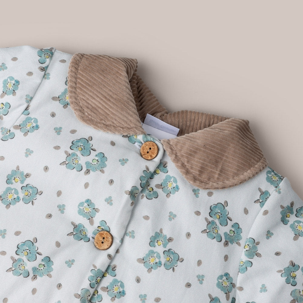 short coat Frenchies