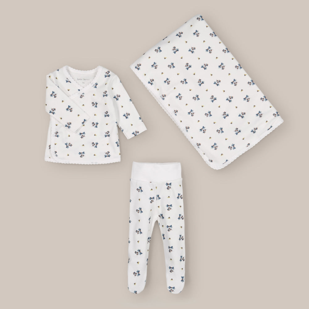 Boîte pour bébé nouvellement glands