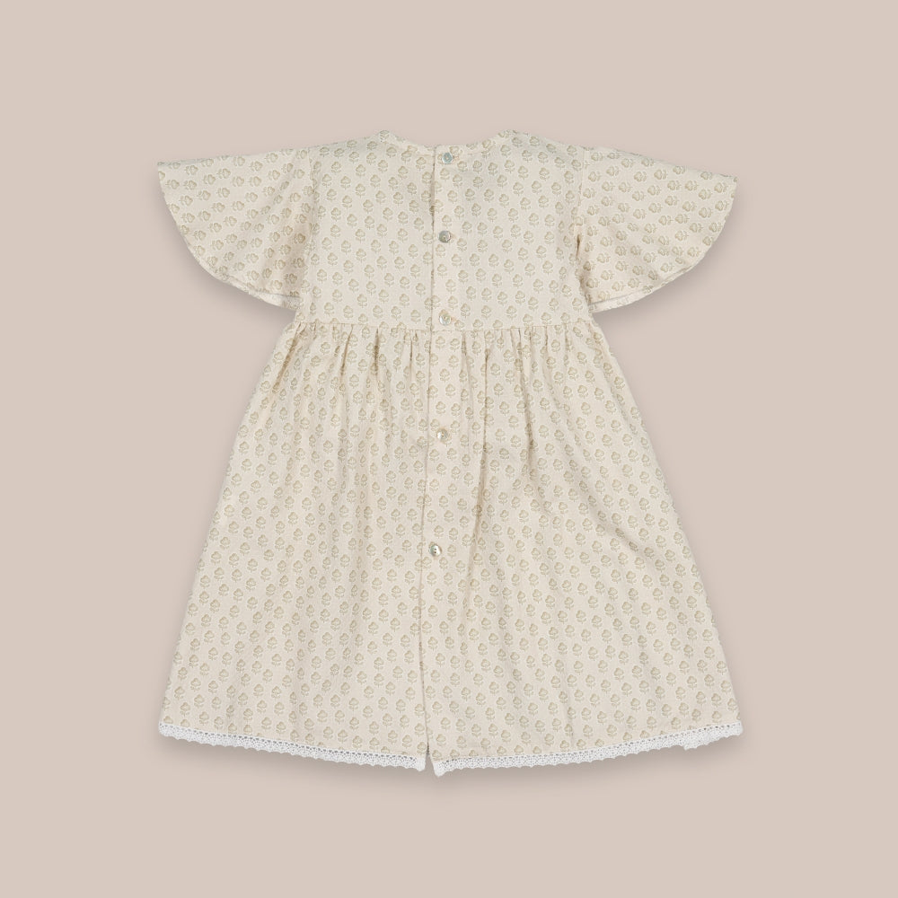 Jaipur Dress