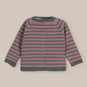 Sweater Baby Lichen