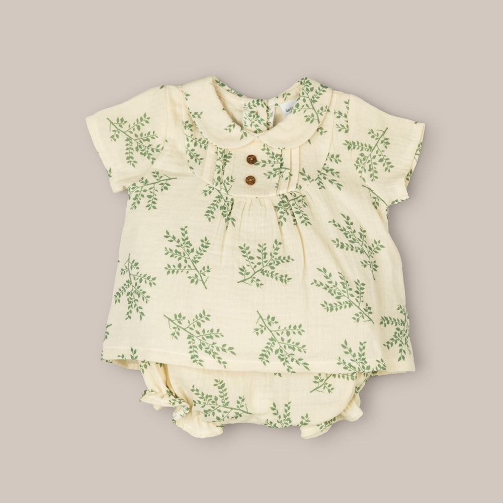 Ensemble de branches vertes