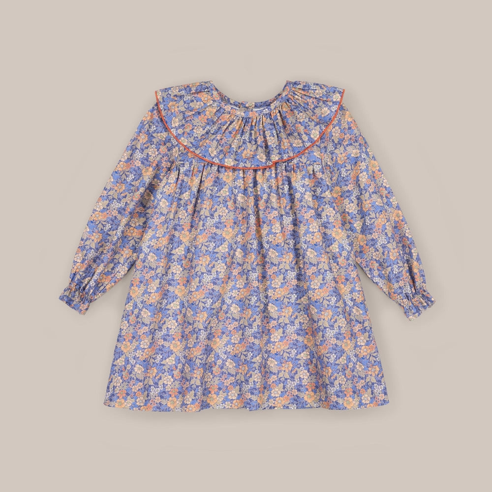 Aster dress