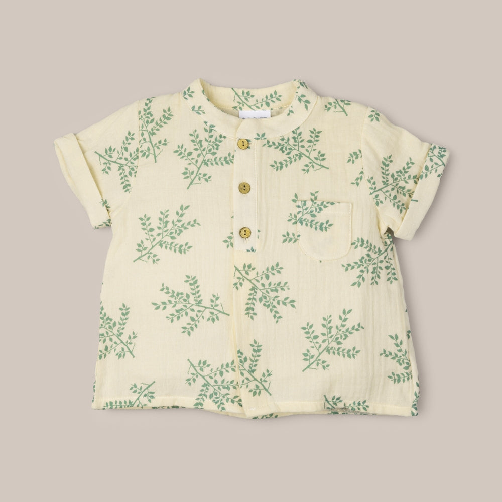 Camisa Niño Rama Verde