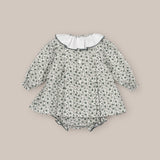 Jesusin Nids Bolitas