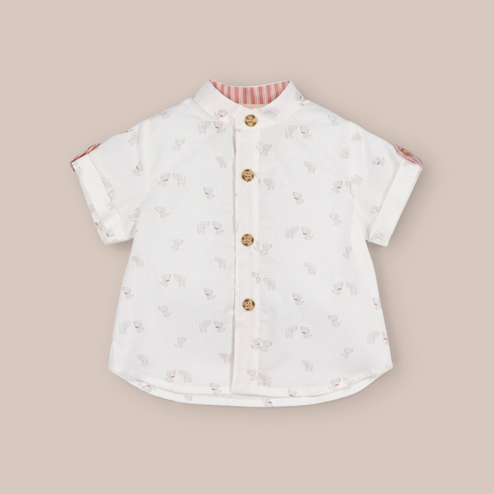 Camisa Manga Curta Chien