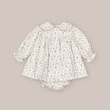 Jesusin Nidos Felicia