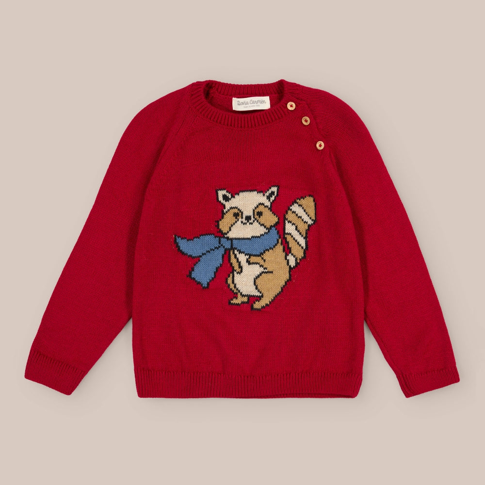 Pull garçon en laine de raton laveur