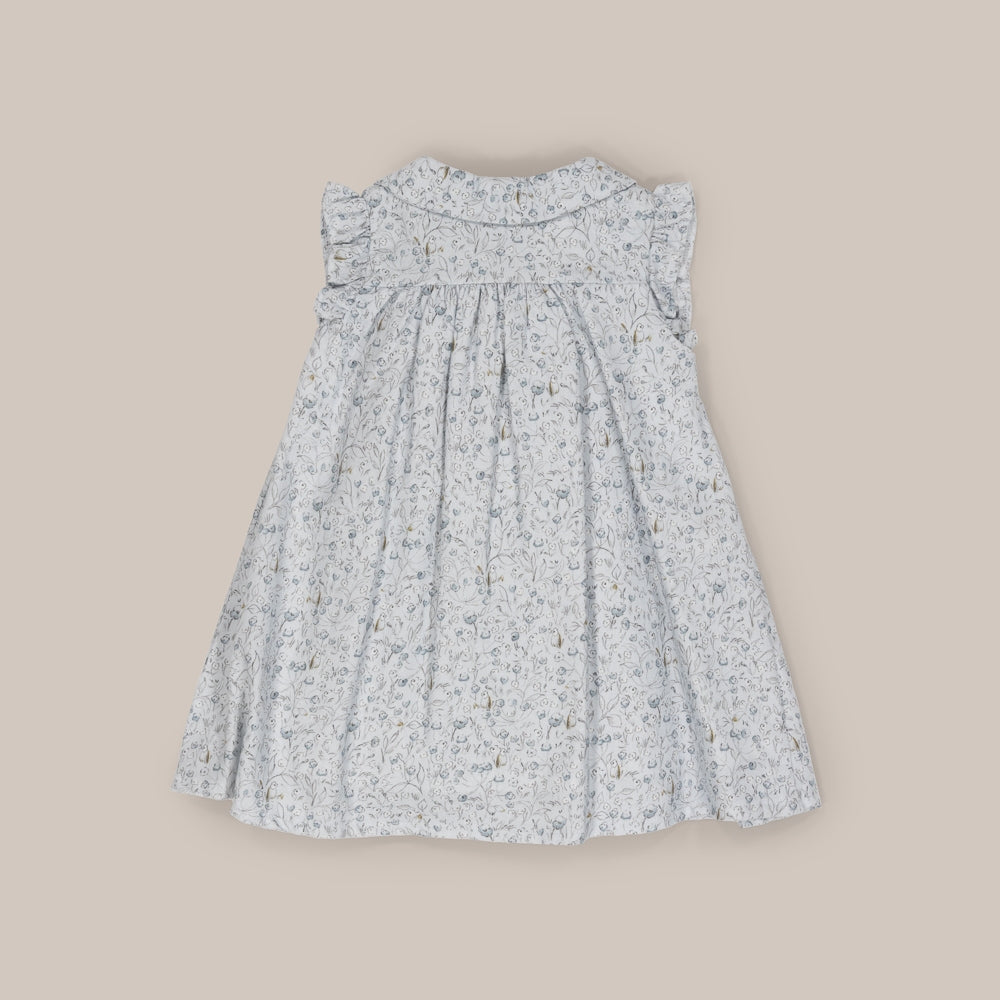 Long Baby Dress Smock Poodle