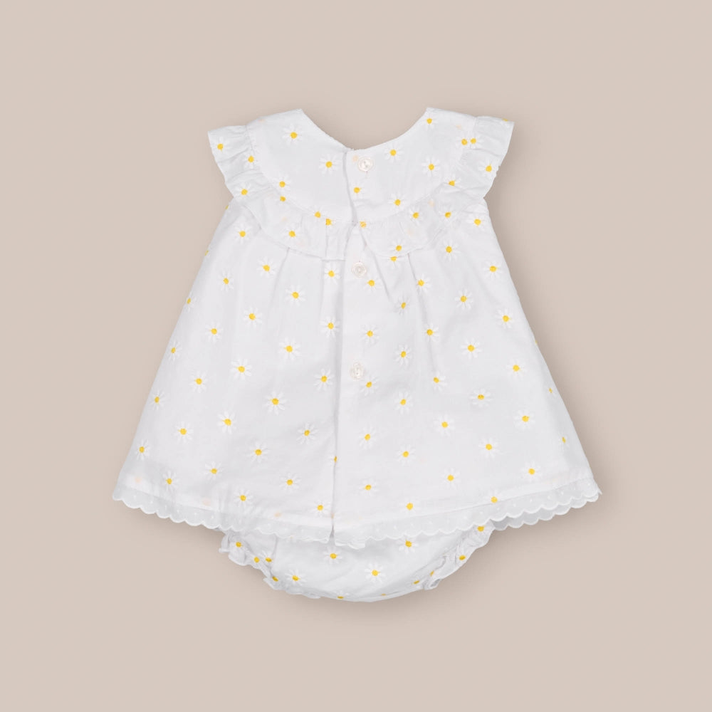 Gesù in Daisy