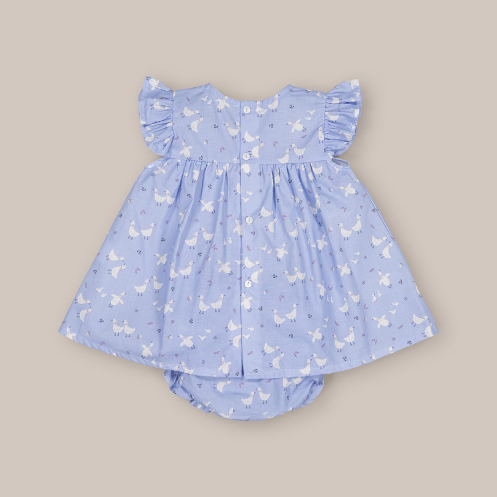 Jesusin Volante Anser