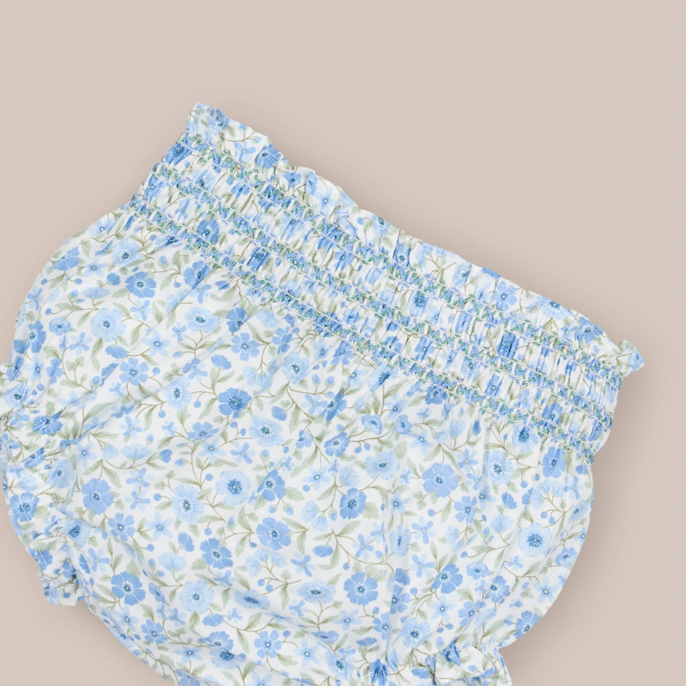 Ranita Nidos Gerbera