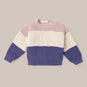 Sweater Tricol Wool