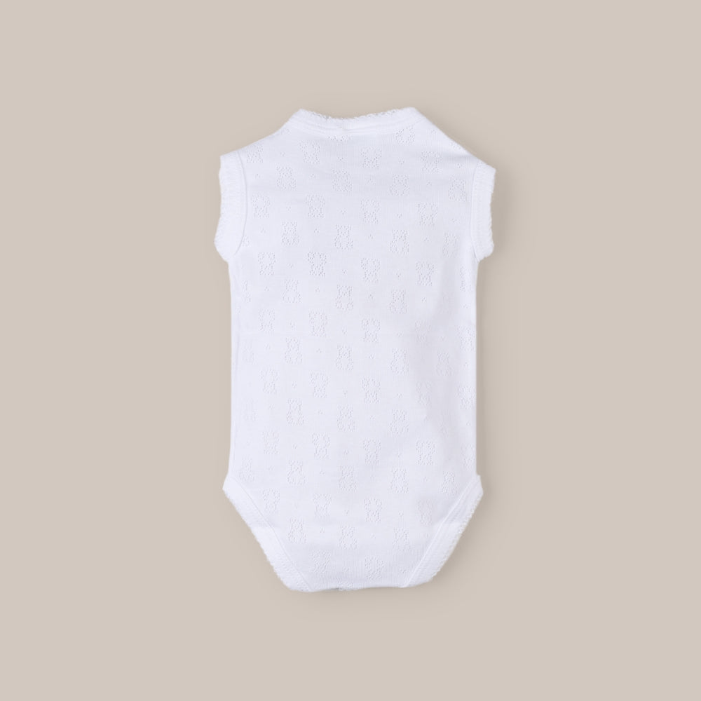 Schweizer Baby-Tank-Body