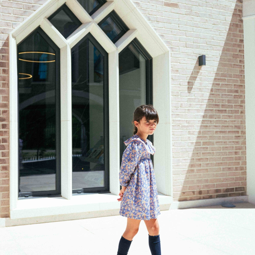 Aster dress